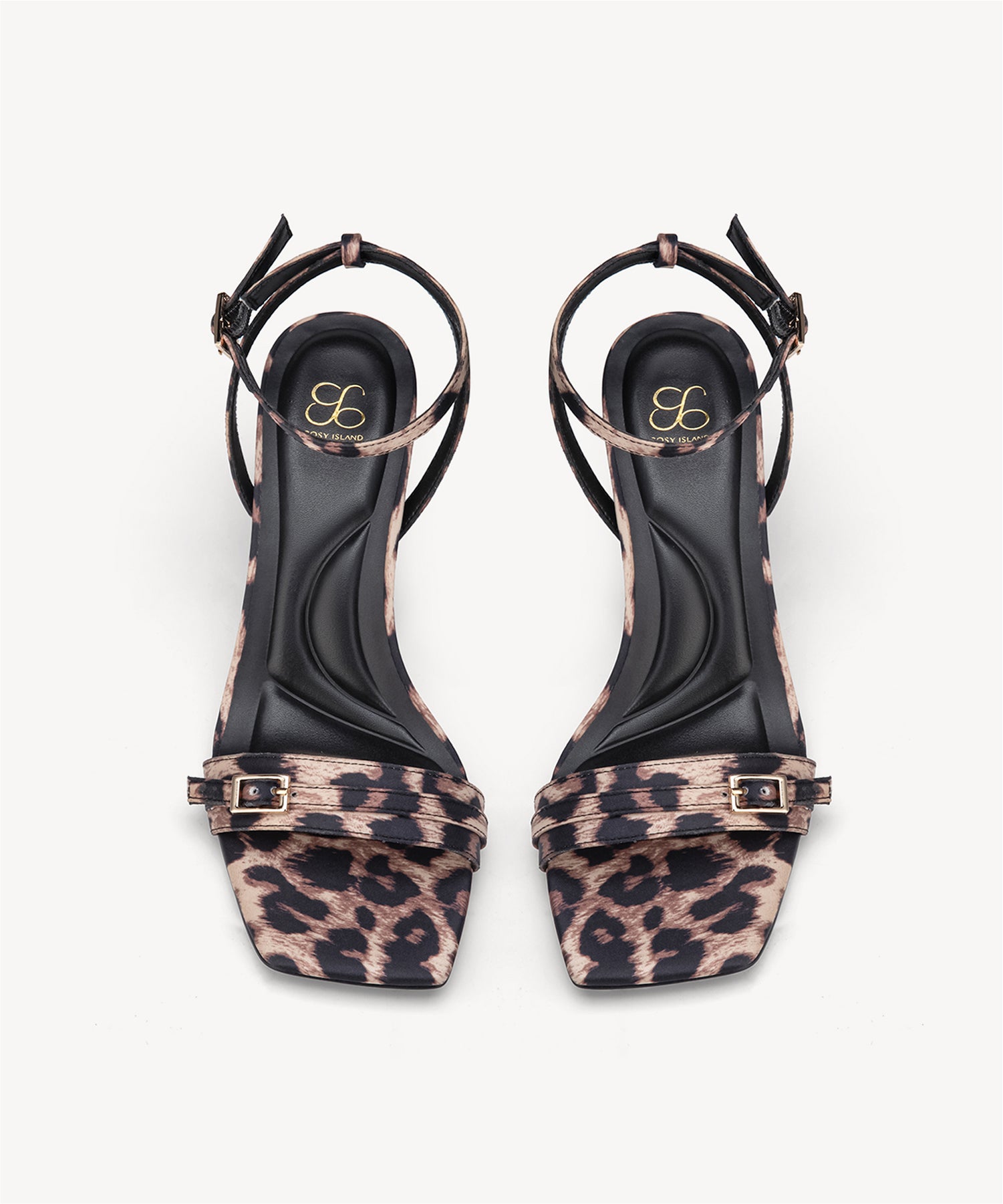 #color_brown leopard