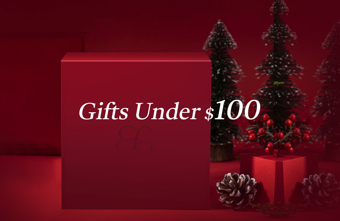 Gifts Under $100