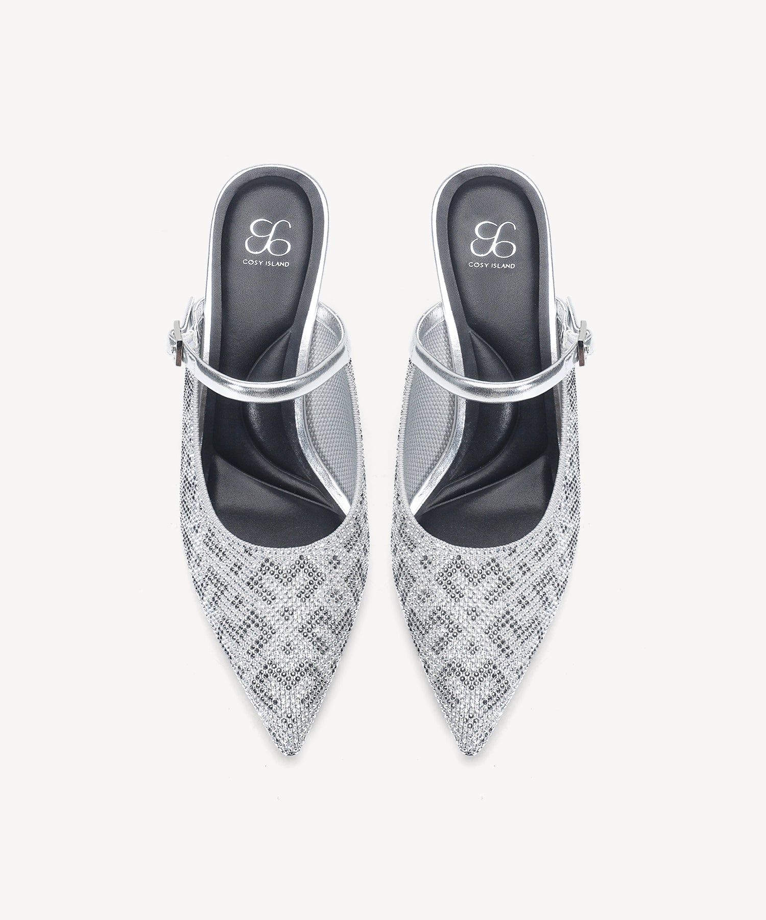 #color_Monogram Silver